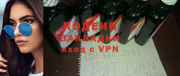 индика Киренск