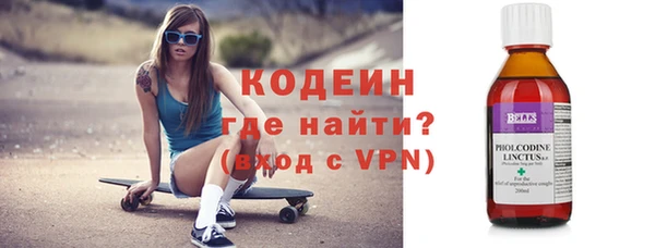 индика Киренск