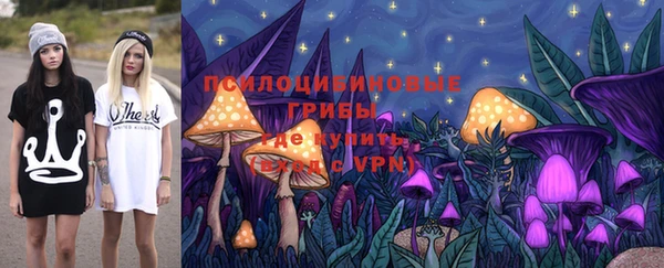индика Киренск
