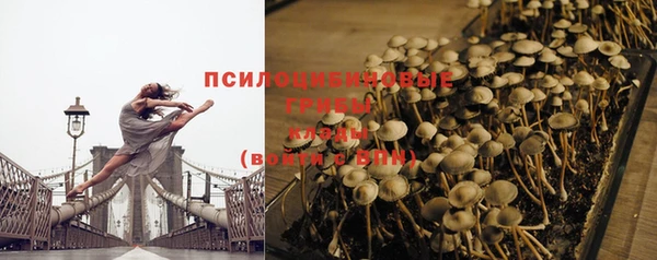 хмурый Анжеро-Судженск