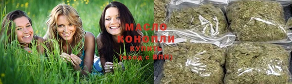 индика Киренск